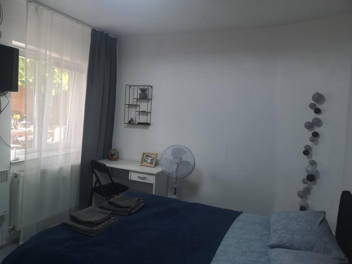 Casa Miron Unirii 3Strada Matei Corvin Apartament Timişoara Buitenkant foto